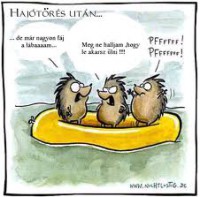 /album/kepgaleria-kezdolap1/sunik-xd-jpg/